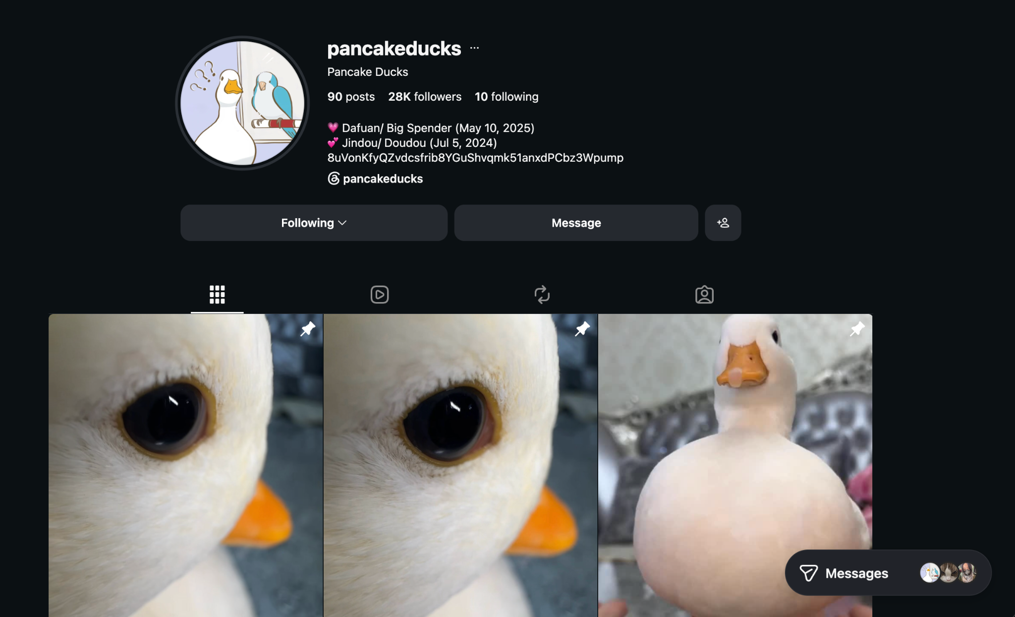 Official Pancake Ducks Instagram profile showing the contract address in the bio